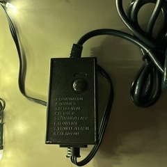 イルミネーションライト　200LED ライト シャンパンゴールドの画像