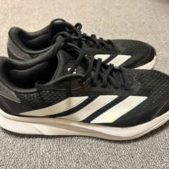 ADIDAS DURAMO SL2 28cmの画像