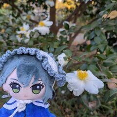 女性P専用アイマスぬい活オプチャ