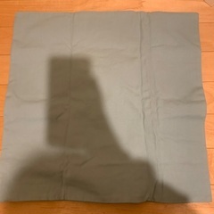 新品未使用　クッションカバー　アリエルの画像