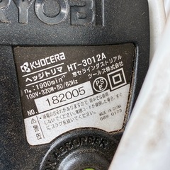 🌳🐒　ヘッジトリマの画像