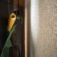 YAMAHA Clavinova 電子ピアノの画像