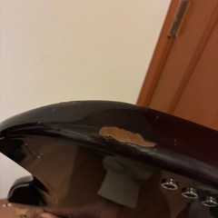 Xotic XJ-1T 旧ロゴの画像