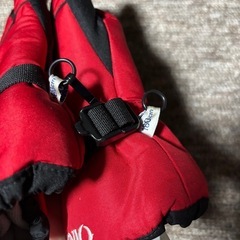 IGNIO 160㎝の画像