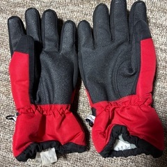 IGNIO 160㎝の画像