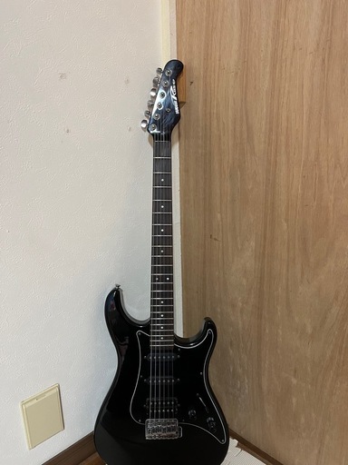 楽器 YAMAHA RGS 112P