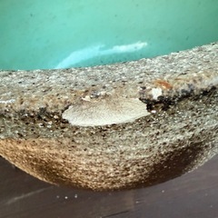 信楽焼：睡蓮鉢15号　はす鉢・
めだか鉢の画像