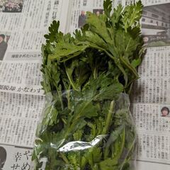 12月11日収穫.菊菜?の画像