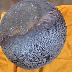 未使用 越前焼 壺 花器の画像