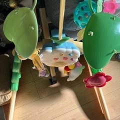 プーメリー　メリーの画像