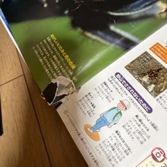 図鑑と本の画像