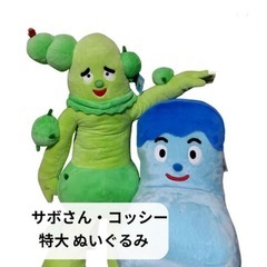レア品サボさん・コッシー 2体セット特大ぬいぐるみ 新品タグ付きの画像