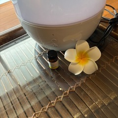 アジアンテイストセット！！の画像