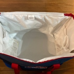 COSTCO 特大サイズクーラーバッグ 大容量 廃盤品の画像