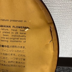 ✨壁掛けオブジェ✨の画像