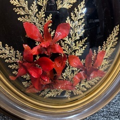 ✨壁掛けオブジェ✨の画像