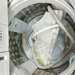 東芝 洗濯機 AW-10SDE8 2020年製 10キロ 大容量 の画像