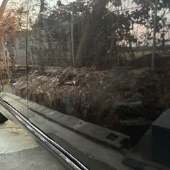 ムーヴコンテカスタムの画像