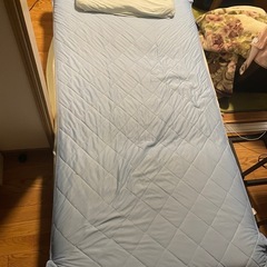 【1000円お渡しします】ソファーベッドの画像