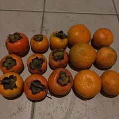 【訳あり】柿、みかんの画像