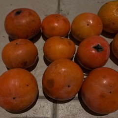 【訳あり】柿、みかんの画像