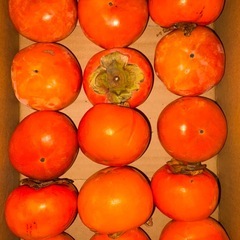 【江南市】12/12(金)🍋【やさい無人販売所】🍋朝8:0…