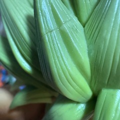 ドラゴンボールフィギュア
の画像