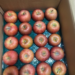 取引中ふじの画像