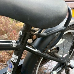 DUALLY 子ども　自転車　18インチの画像