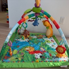 フィッシャープライス レインフォレスト・デラックスジムIIの画像