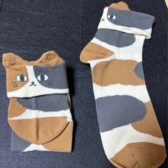 猫耳ソックス(レディース)の画像