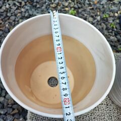 胡蝶蘭用　白色植木鉢　５個セット　観葉植物にも　もともと胡蝶蘭が入れてあった植木鉢です。の画像