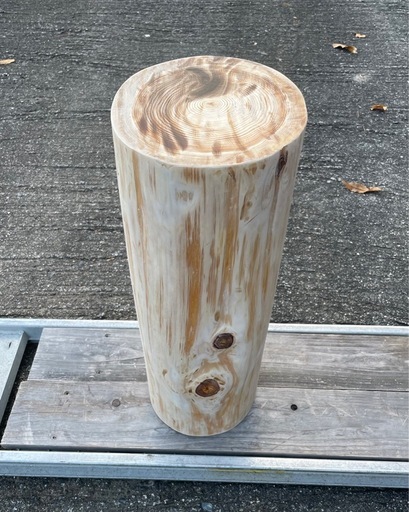 天然木 ひのき 切り株 丸太 スツール ( D－PLANTS🪴) 坂本比叡山口の