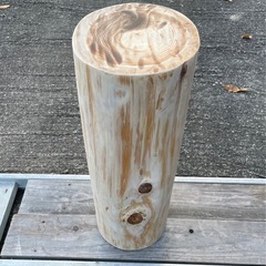 天然木 ひのき 切り株 丸太 スツール ( D－PLANTS🪴) 坂本比叡山口の