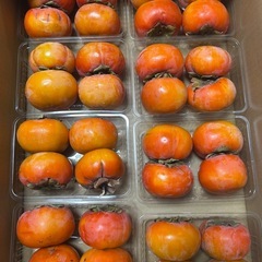 取引中富有柿 の画像