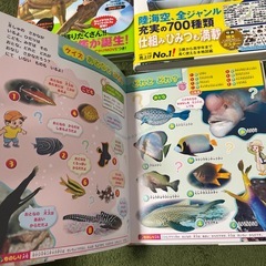 講談社　恐竜、恐竜2、さかな、乗りもの、鉄道　小学館の図鑑の画像