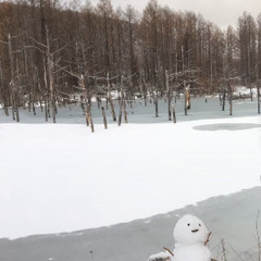 スノーボードメンバー募集