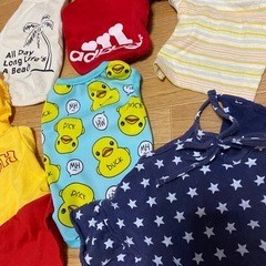 ペット服　小型犬　の画像