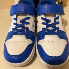 DCスニーカー23センチの画像