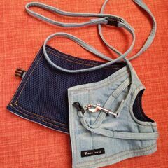 キャットハーネスの画像