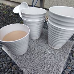 胡蝶蘭用　白色植木鉢　５個セット　観葉植物にも　もともと胡蝶蘭が入れてあった植木鉢です。の画像