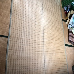 ⭐️無料🤲　畳地のカーペットです‼️