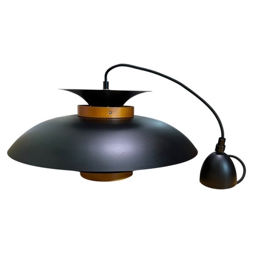 【極美品・電球付き】ペンダントライト 1灯 UCOLO LIT000120-BK 小売 【極美品・電球付き】ペンダントライト 1灯 UCOLO LIT000120-BK