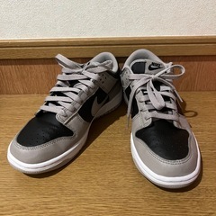 NIKE ダンクLOW 24cm ジュニアサイズの画像
