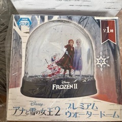 アナ雪　セットの画像