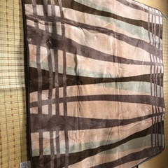 ⭐️無料🤲　ホットカーペットです‼️