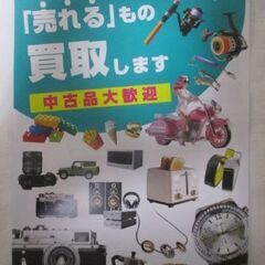 G∀小40 殺虫剤 未開封 アースガーデン ムカデ撃滅 スプレー 480ml 検：ムカデ駆除スプレー 家庭菜園 園芸 ガーデニング 害虫 駆除 虫対策 岩槻区/足立区の画像