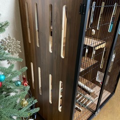 キャットハウスの画像