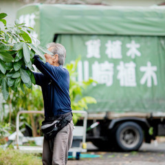 🌳観葉植物レンタルのメンテナンススタッフ＊未経験OK＊正社員｜川崎植木（鹿児島）の画像