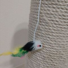 爪とぎポール（麻縄巻き）の画像